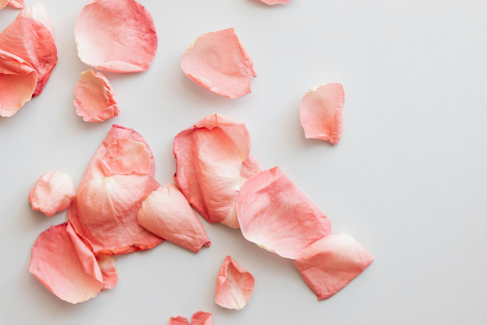 pexels karolina grabowska 4041271